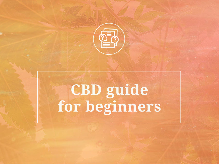 Beginners Guide To CBD